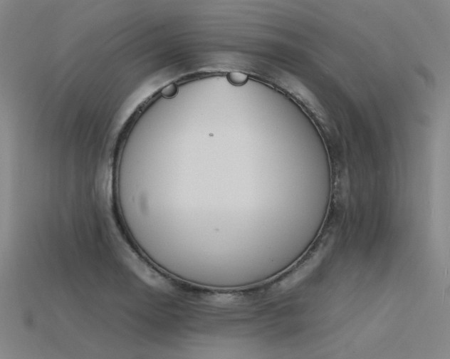 X0000115841130200911131525