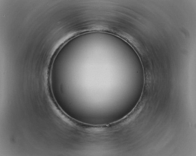 X0000115841134200911131525