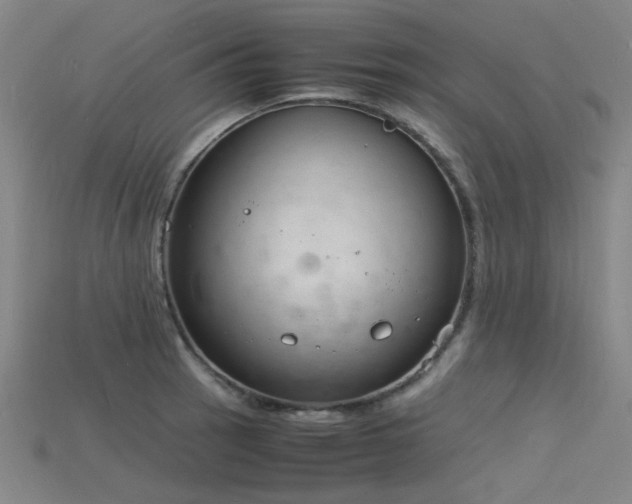 X0000115841137200911131525