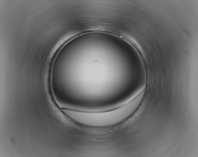 X0000115841138200911131525