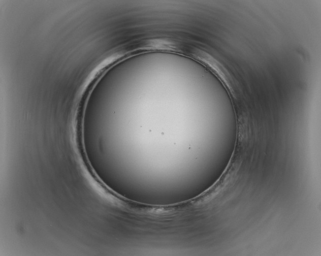 X0000115841139200911131525