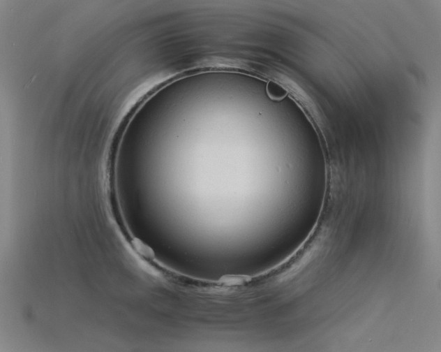 X0000115841141200911131525