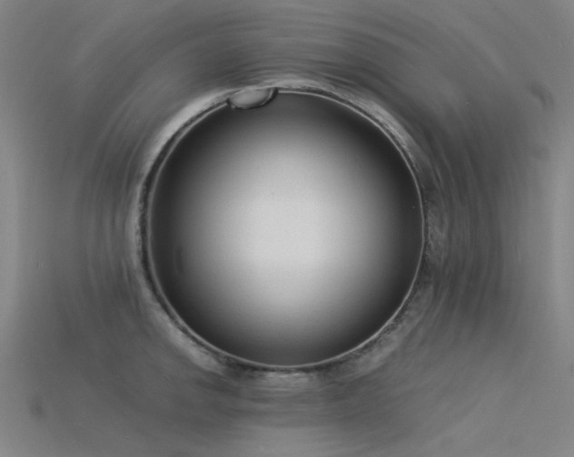 X0000115841142200911131525