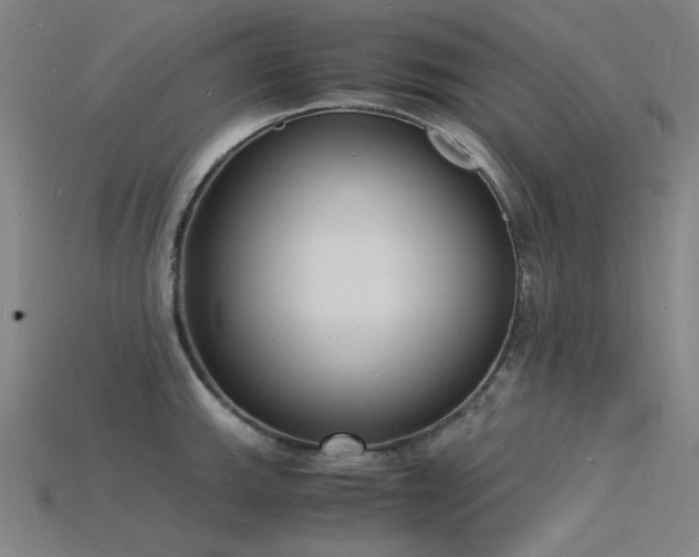 X0000115841143200911131525