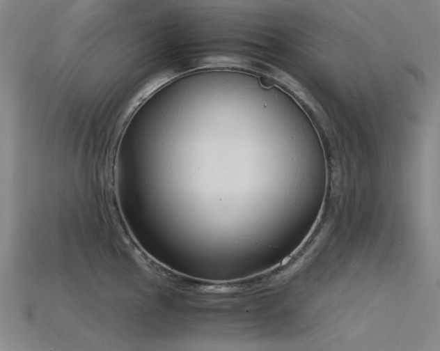 X0000115841145200911131526