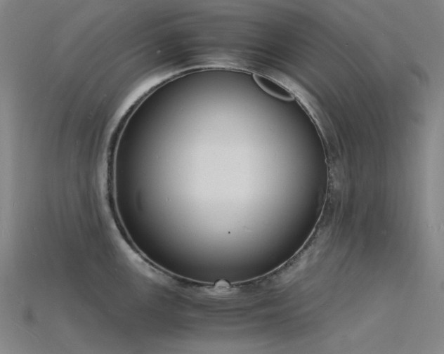 X0000115841147200911131526