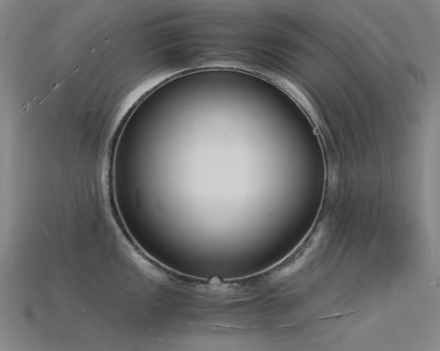 X0000115841149200911131526