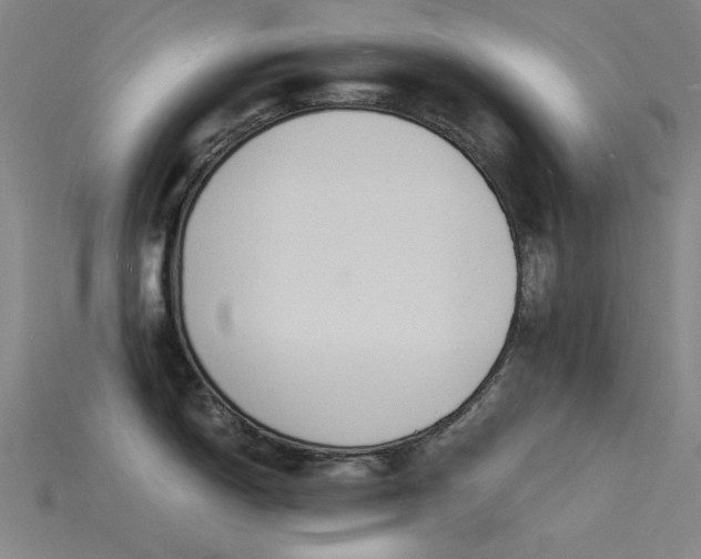 X0000115841150200911131526