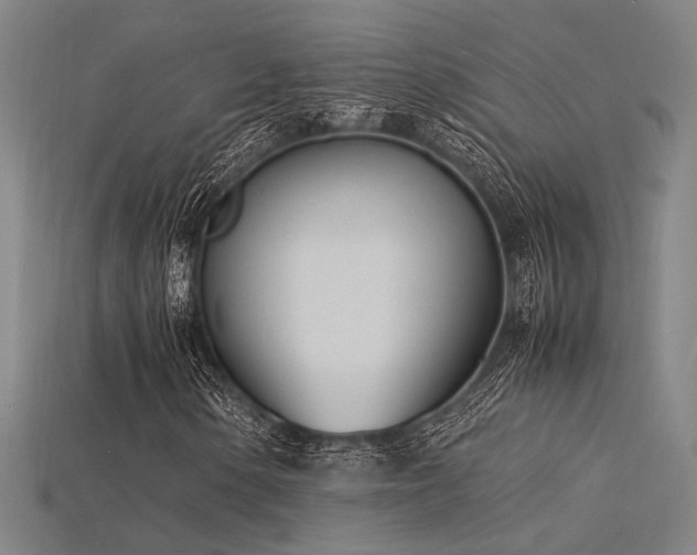 X0000115841154200911131525