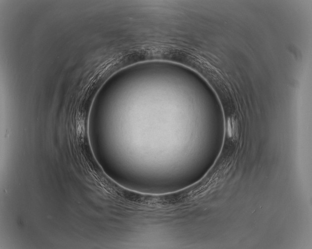 X0000115841155200911131525