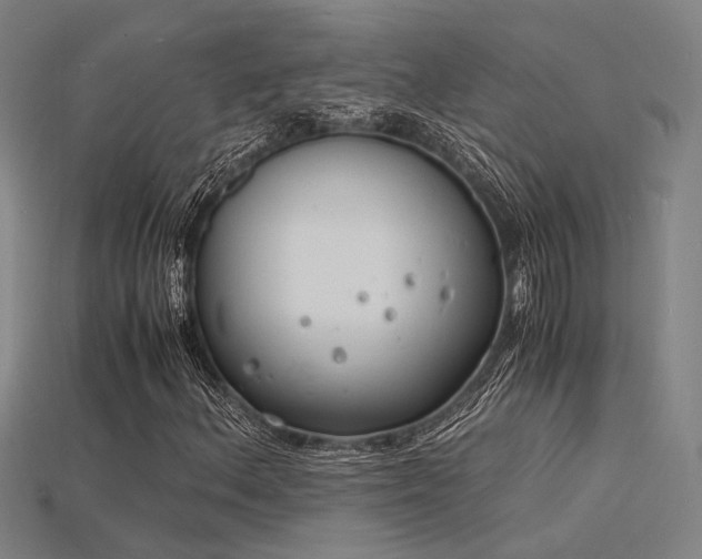 X0000115841156200911131525