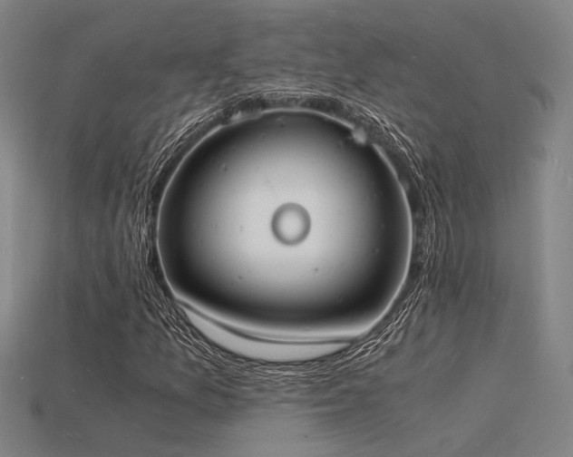 X0000115841157200911131525