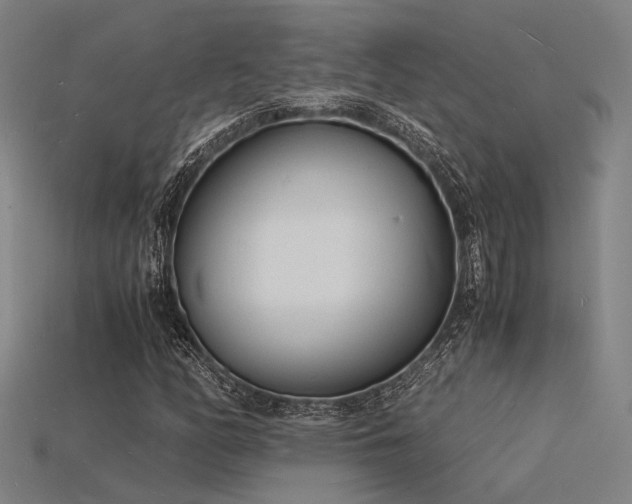 X0000115841158200911131525