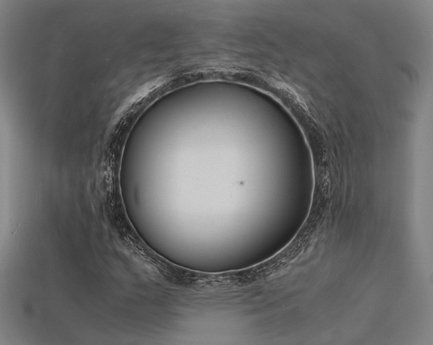X0000115841159200911131525