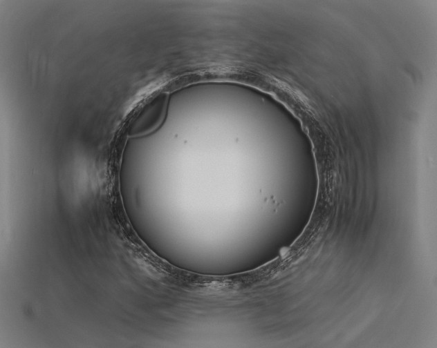 X0000115841160200911131525