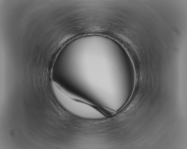 X0000115841161200911131525