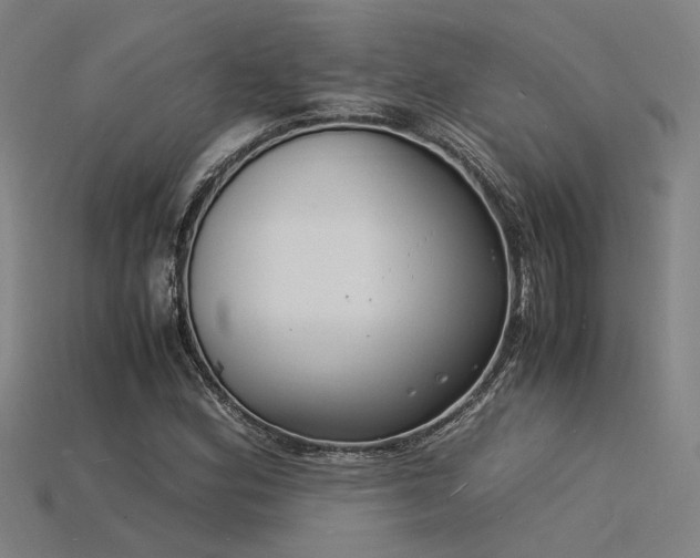 X0000115841164200911131525