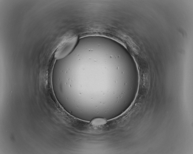 X0000115841165200911131525