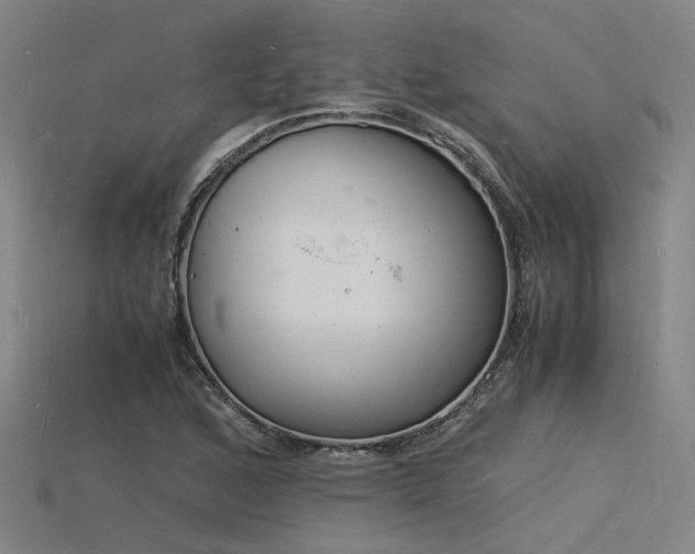 X0000115841168200911131525
