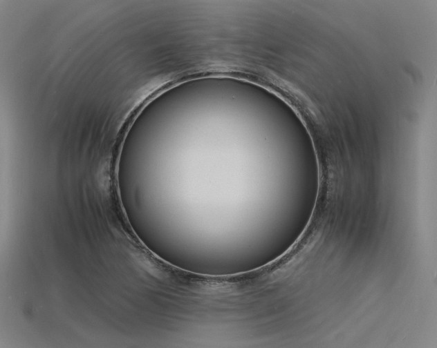 X0000115841170200911131525