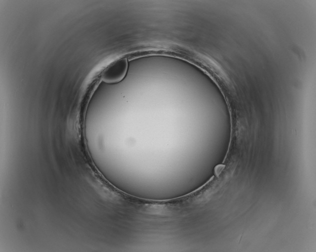 X0000115841172200911131525