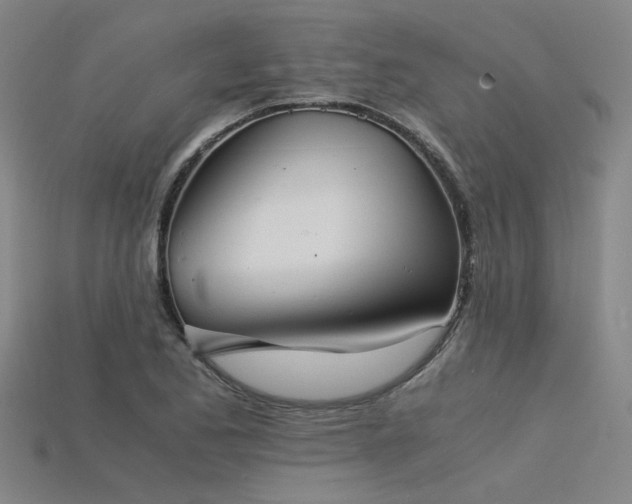 X0000115841173200911131525