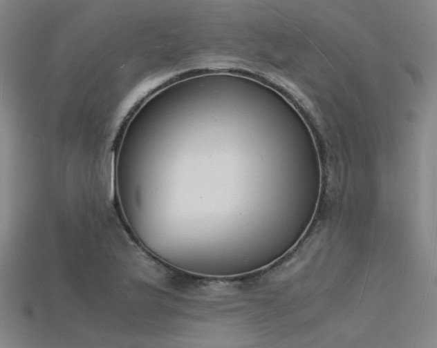 X0000115841175200911131525