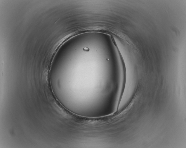 X0000115841177200911131525