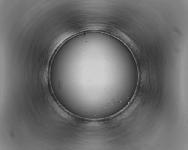 X0000115841178200911131525