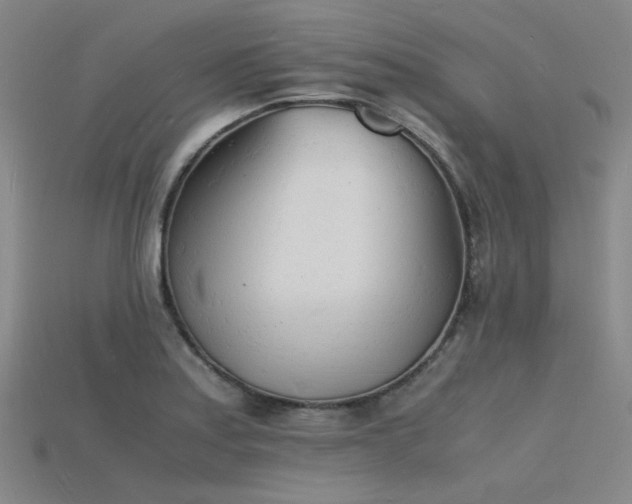 X0000115841179200911131525