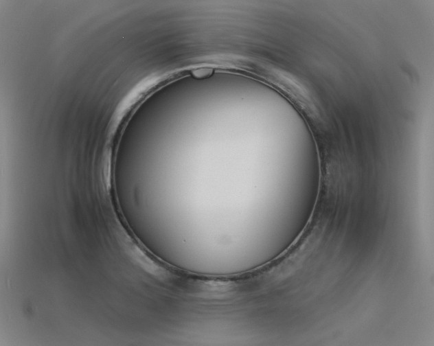 X0000115841180200911131525