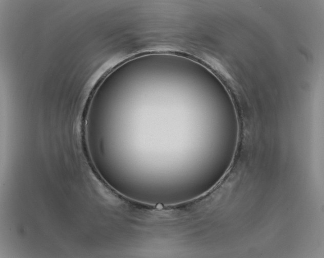 X0000115841181200911131525