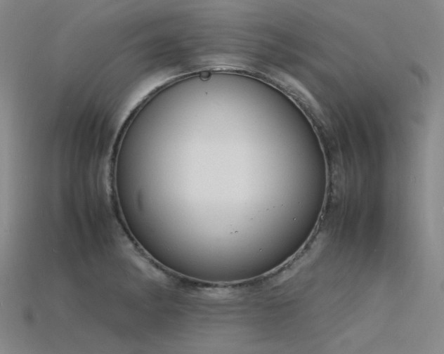 X0000115841182200911131525