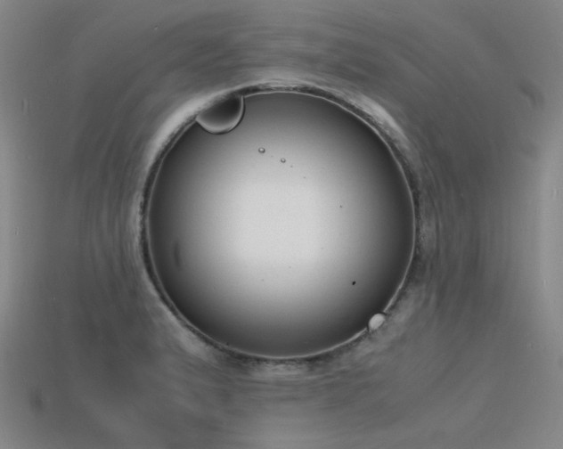X0000115841183200911131525