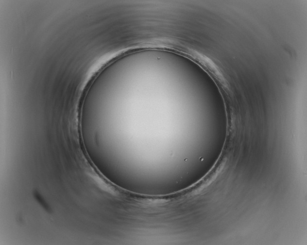 X0000115841184200911131525