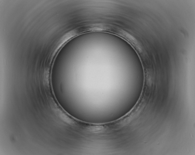X0000115841186200911131525