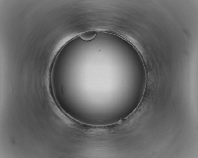 X0000115841187200911131525