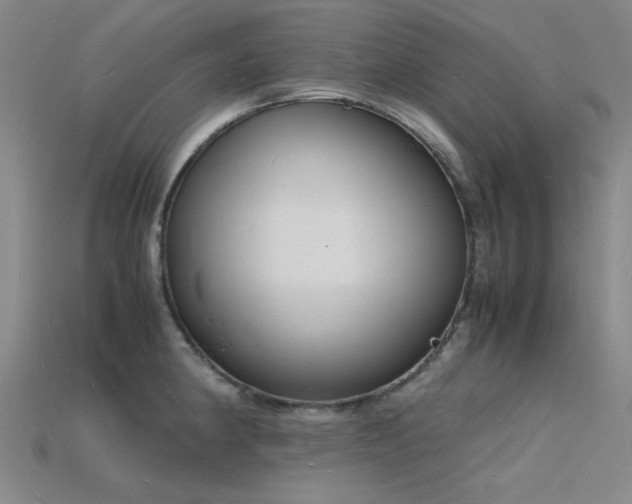 X0000115841190200911131525