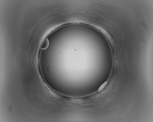 X0000115841191200911131524