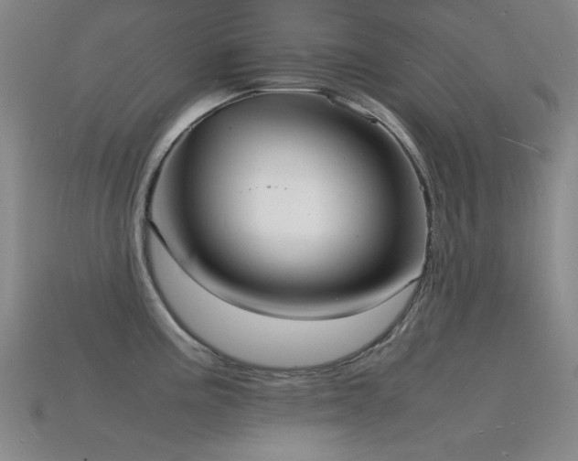 X0000115841195200911131524