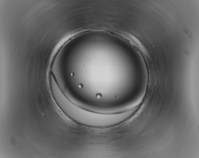 X0000115841196200911131524