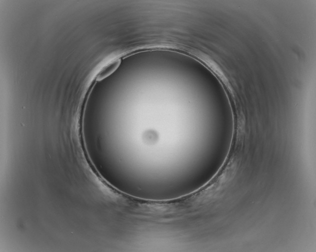 X0000115841197200911131524