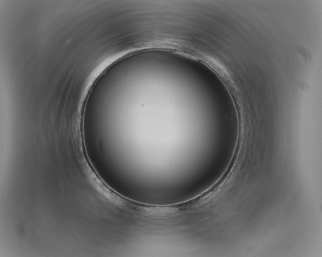 X0000115841200200911131524
