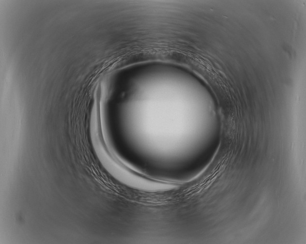 X0000115841201200911131524