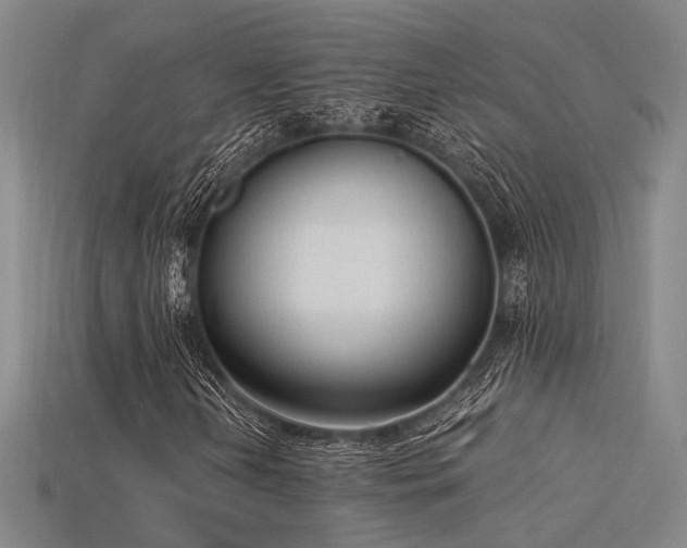 X0000115841202200911131524