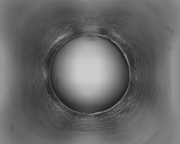 X0000115841206200911131524