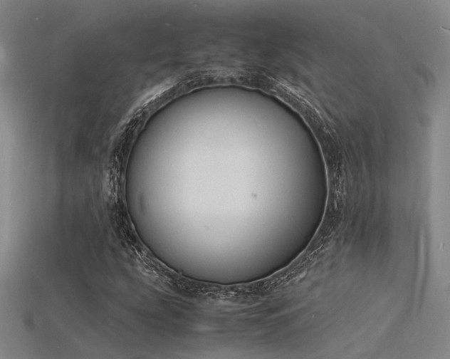 X0000115841207200911131524