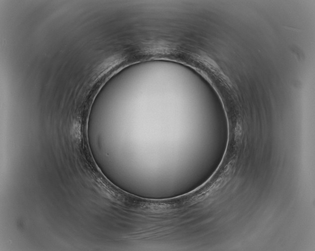 X0000115841209200911131524