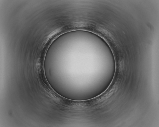 X0000115841210200911131524