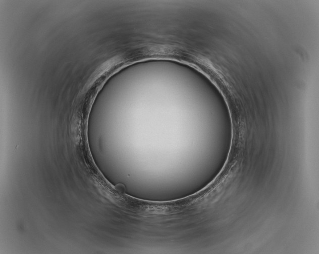 X0000115841211200911131524